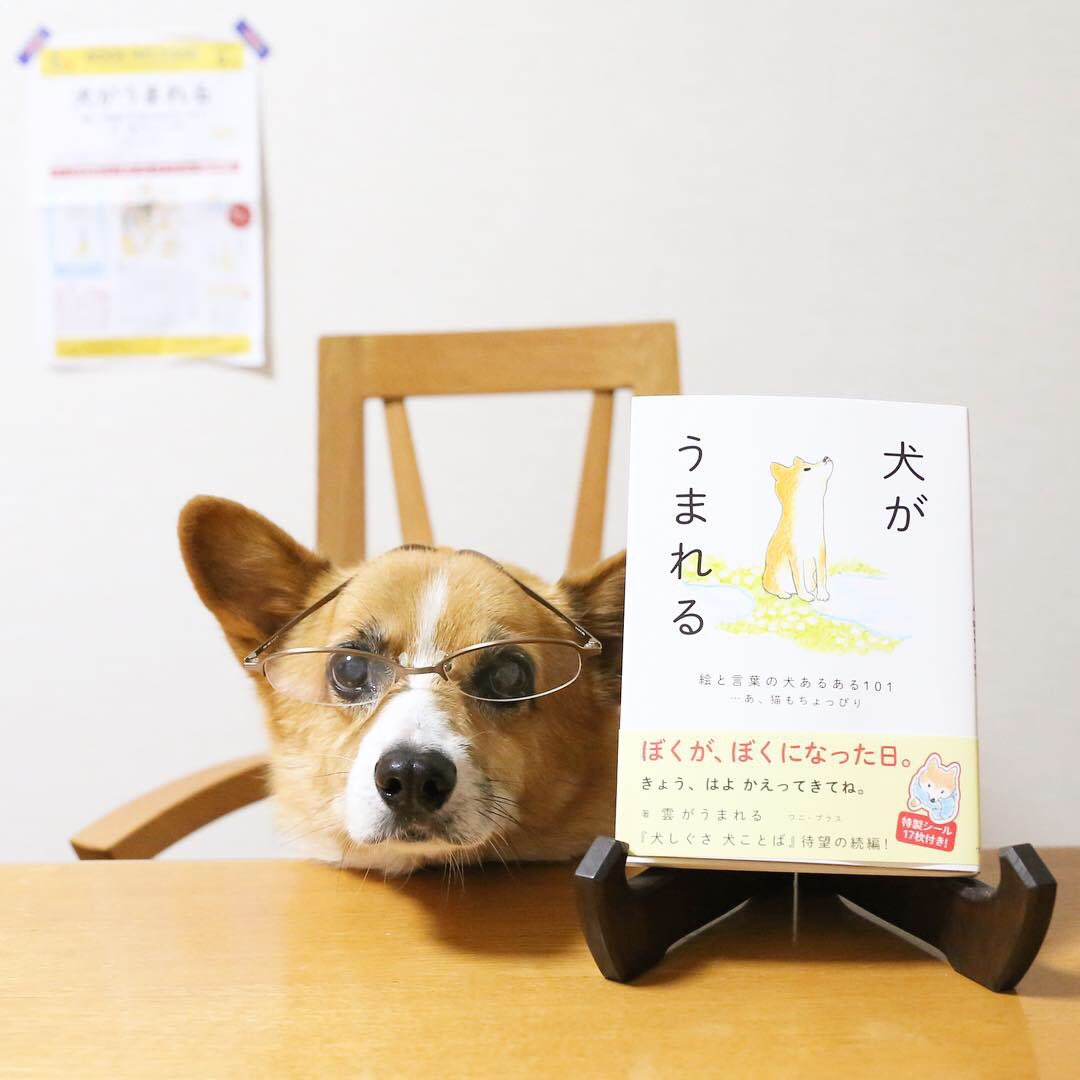 くもといっしょに