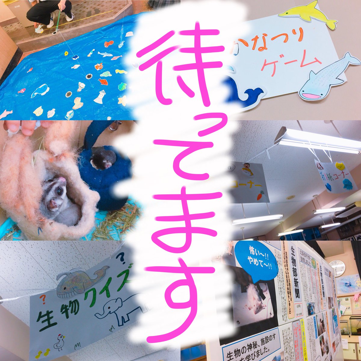 east_seibutu's tweet photo. 明日はいよいよ文化祭！
今年は生物講義室・生物実験室の2部屋を贅沢に使って様々なコーナーを用意しております！画像はお子様向けですが、実験のコーナーも充実してますよ🔬
毎年恒例の生物クイズもありますよ🍄
皆さん是非1度はいらして下さいませ！！ https://t.co/Bse03hF60v