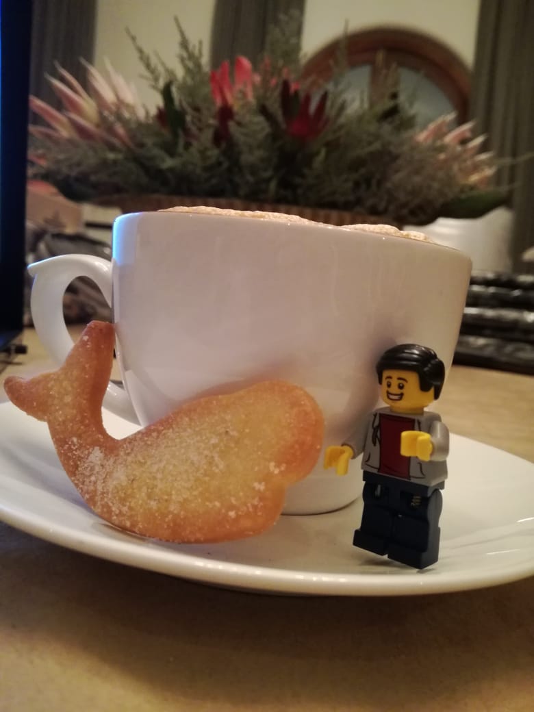 EventAlchemy's tweet photo. Rich creamy coffee to keep me warm on this chilly day in Hermanus! 
☕️🐋

#eventalchemycreation #eventalchemy #event #Charlie https://t.co/PKYXOeFdk1
