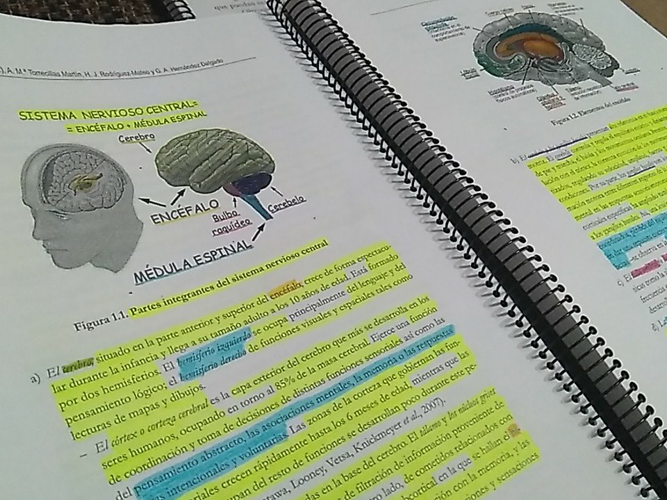 saramss1022's tweet photo. Psicología 😖🔫 https://t.co/B58MQYEGxK