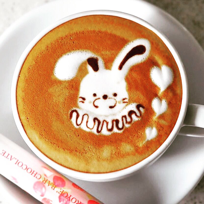 Good Morning 🐇 #bongoblend