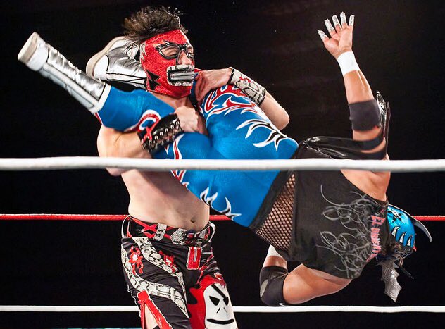 RHP4ever's tweet photo. Sydistiko of @LuchaLibreUSA mask. #Sydistiko #LLUSA #MaskedWarriors #LuchaLibre https://t.co/SvL6MwPPAV