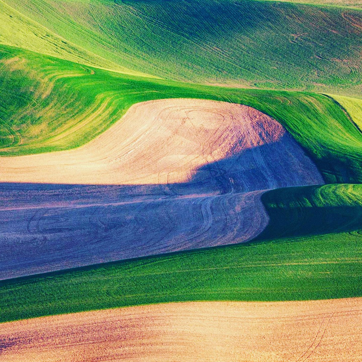 MindPowerAcadem's tweet photo. "Life is a series of natural and spontaneous changes. Don't resist them - that only creates sorrow. Let reality be reality. Let things flow naturally forward in whatever way they like."
- Lao Tzu #laotzu
#flow #naturalflow #flowforward #change #academyofmindpower https://t.co/guvnrNlPbv