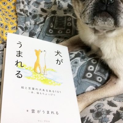 くもといっしょに