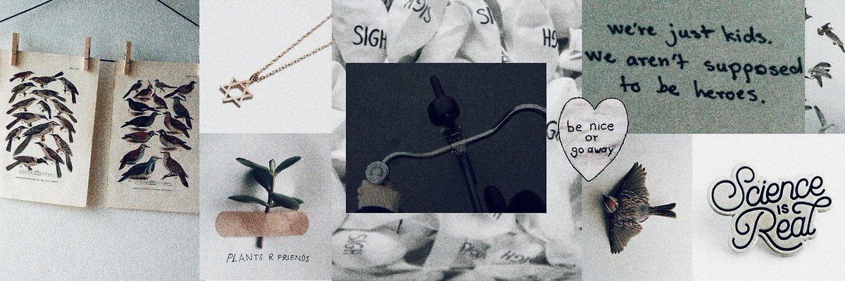 dipaesthetic's tweet photo. .❨ ❥` woonpil day6 aesthetic packs . ❩ 

`` rt or fav if u save / use ✺࿐

#wonpil #day6packs #Daye #wonpilesthetic #packs #icon #aestheticpack https://t.co/QxLKuCj11m