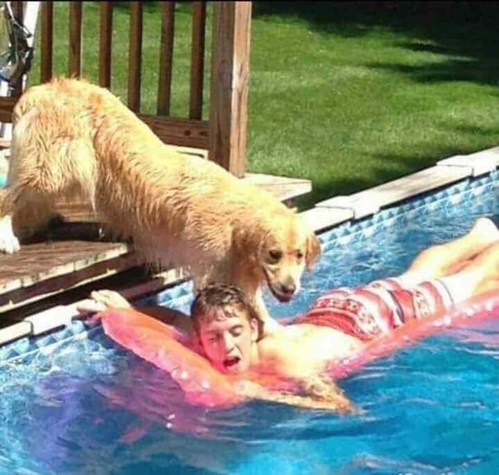 CatioroReflexiv's tweet photo. - Cleiton vc já aproveitou muito agora é minha vez! https://t.co/utOozSzGWA