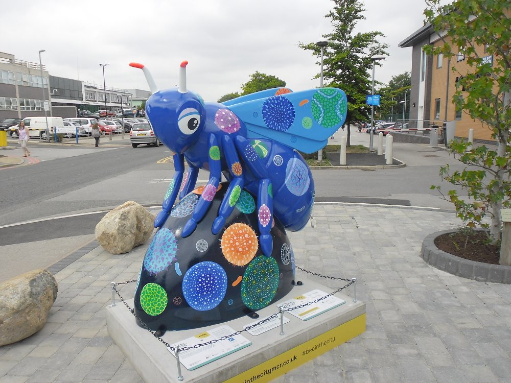 Large Bee #88 - 'Sneezebee' by Pam Smart and @michelleturton Sponsored by @meutrials Location: Medicines Evaluation Unit, Wythenshawe Hospital @WythenshaweHosp #beeinthecity