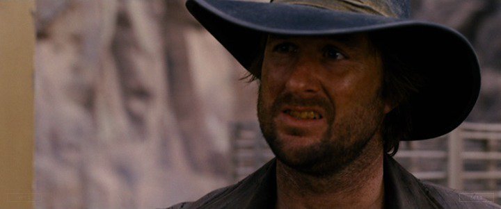 Luke Wilson is now 47 years old, happy birthday! Do you know this movie? 5 min to answer! 