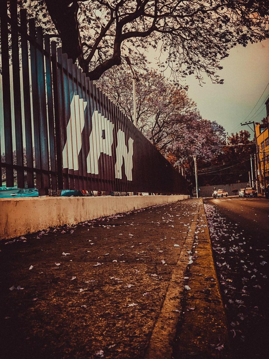 MarioRdriguezC's tweet photo. #FelizViernes #ComunidadPolitécnica https://t.co/SpdfEoes2v