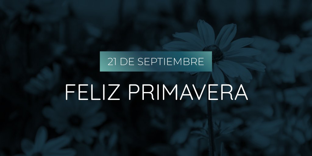 Caballo Argentino tweet media