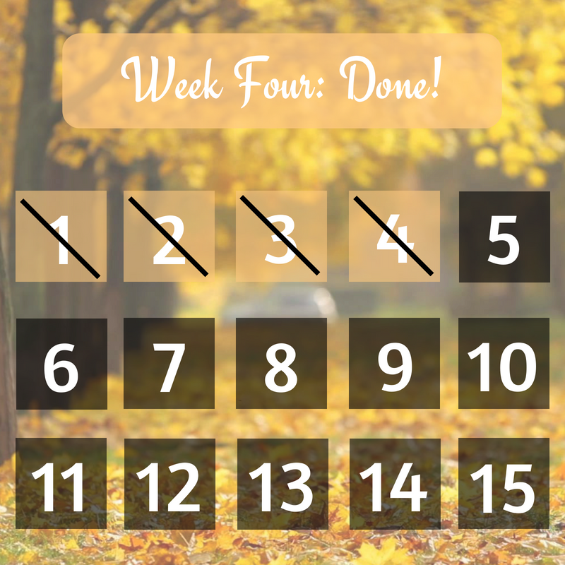 ASAPBCC's tweet image. #FourthWeek #FourthWeekOfSchool #FourthWeekDone #ASAPBCC #cunyASAP