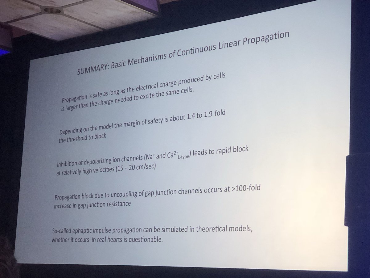 Nishaki1's tweet photo. Starting the day with basics from our basic science experts. It is one thing to ablate and another to revel in the mysteries of cell to cell conduction. #signalsummit https://t.co/TyMRYUxwRu