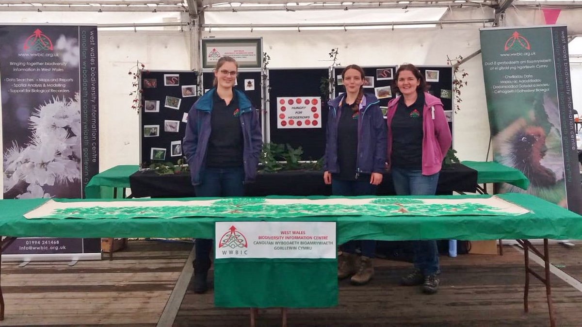 wwbic1's tweet photo. Kicked off #narberthfoodfestival2018 with Education Day for primary schools. The WWBIC stand taught pupils about local wildlife found living in hedgerows
🐛🦋🐝🐌🐭🦊🦇🦉🐿🐦🦔🌺🌿
#HungryForHedgerows #ConservationOptimism https://t.co/P5WjDLe3Tx