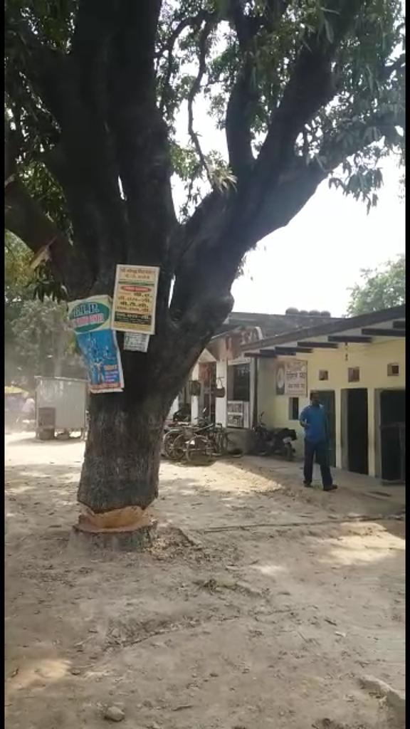 sureshkumar8585's tweet image. @OfficeAPatel   जिगना थाने के पास में मौत को दावत देते ये जड़ से आधे से ज्यादा कटे हुए पेड़ 3 दिन से पड़े है ये पेड़ इलाहाबाद और मिर्ज़ापुर हाईवे पर ही है। जिससे पेड़ के नीचे बने मकान के लोग और  सड़क पर से गुजर रहे लोगो के बीच भय बना है कि ये कभी भी  गिर सकता है।
