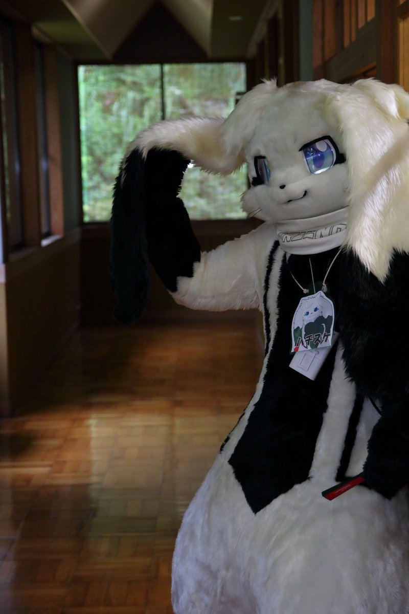 yasan_mofumofu's tweet photo. ハチスケじぃじ(*´ω`*)
たれ耳良い(ΦωΦ)
#FursuitFriday
#TDOS2018 https://t.co/2HcfB7Pzzw