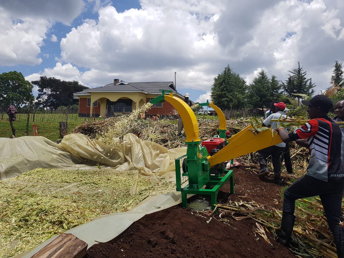 ISLA_Kenya's tweet photo. Livestock grazing has an impact on forest regeneration. ISLA Kenya is supporting farmers who live adjacent to the South West Mau to improve livestock productivity on-farm. In partnership with SNV, silage preparation training began at Kwenet demo farm. @winnie_mwaniki @IDH_buzz https://t.co/hxyrBjZbYX