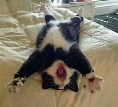 #FridayFeeling