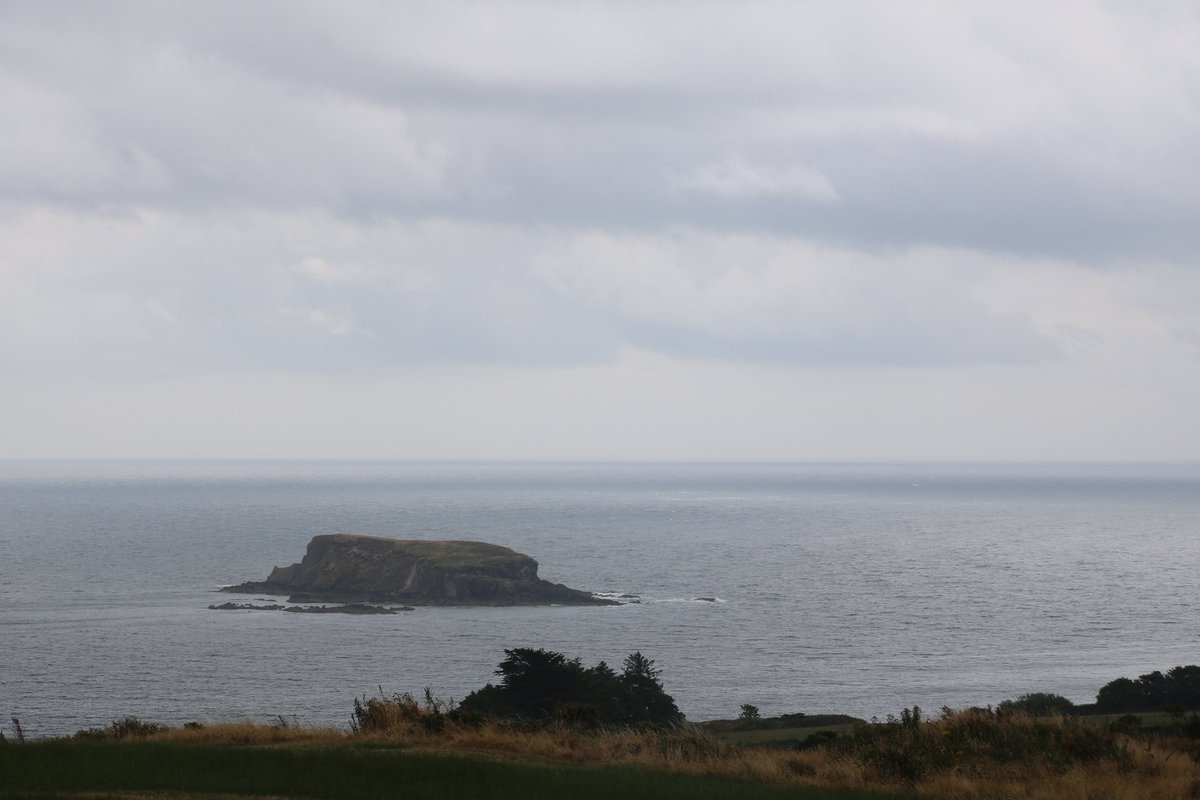 CODRISCO's tweet photo. #WildAtlanticWay 1. #AdamIsland 2. Carrigillihy 3. #RabbitIsland and #Carrigillihy Harbour 4. Adam Island with #Reenogreena cliffs in the middle distance on the left and the #GalleyHead in the distance. https://t.co/jxvqppfqxQ