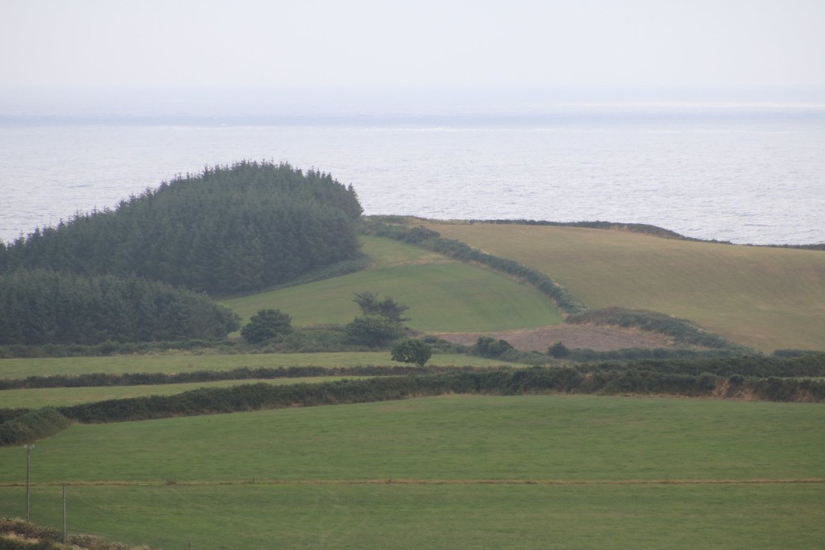 CODRISCO's tweet photo. #WildAtlanticWay 1. #AdamIsland 2. Carrigillihy 3. #RabbitIsland and #Carrigillihy Harbour 4. Adam Island with #Reenogreena cliffs in the middle distance on the left and the #GalleyHead in the distance. https://t.co/jxvqppfqxQ