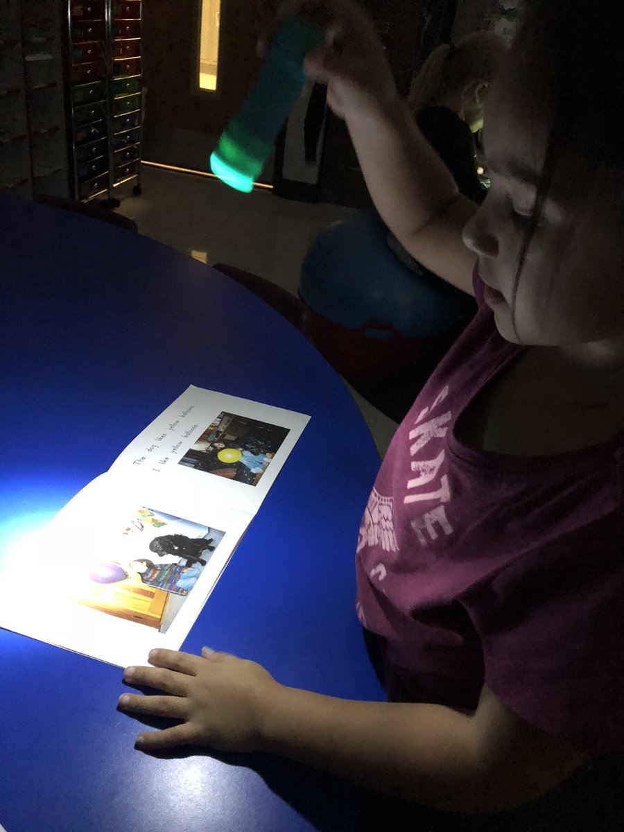 melsfredericks's tweet photo. When it’s Flashlight Friday you push into the room to join the fun! #readingrecovery https://t.co/wGRtmTUX44