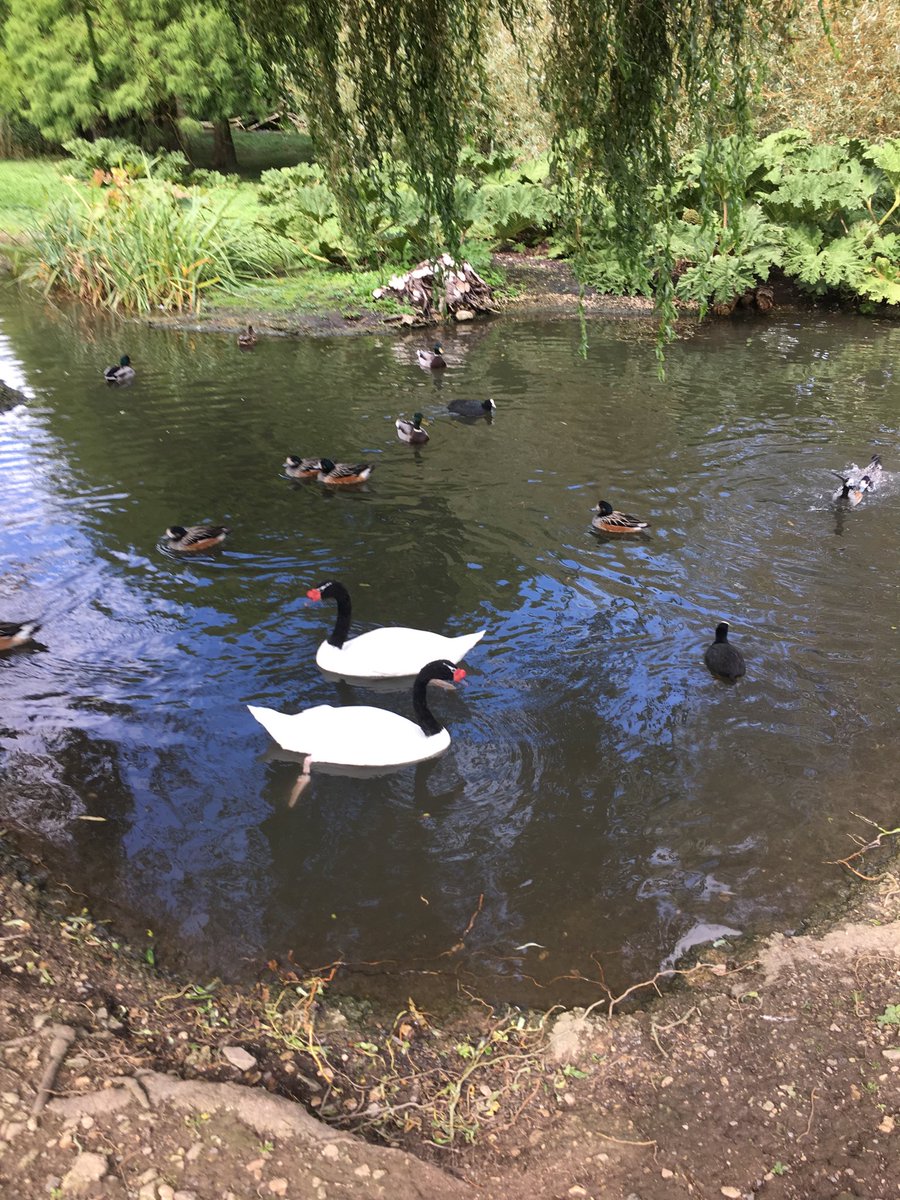 UWEenvhealth's tweet photo. Slimbridge MSc environmental health campus students field trip today - Thank you Adele and Sharon https://t.co/JkLALiPKGy