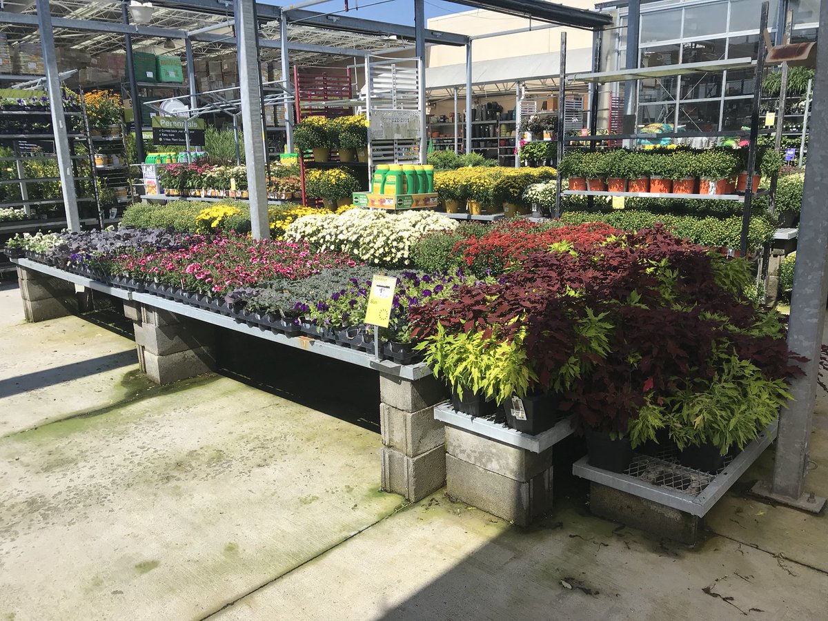 vwiAsheville's tweet photo. π Lookie at all this #fallcolor at our Kingsport #HomeDepot π #HD702 @VWIGreenhouse @BryanhunterHall @CindieTipton1 @Jaydeckard @jaybisping https://t.co/8WQHeZb3GO