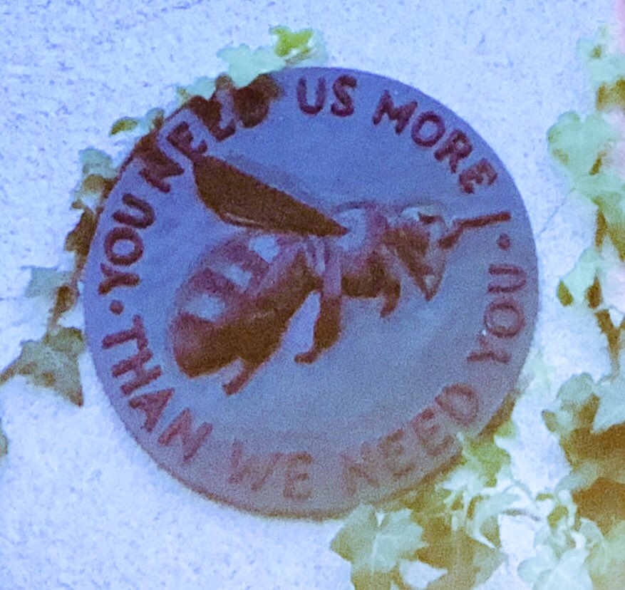 IsobelRonai's tweet photo. Shoutout to the importance of insects/bees in @theAliceRoberts #MilnerLaunch talk https://t.co/Nr6kOuXDFK