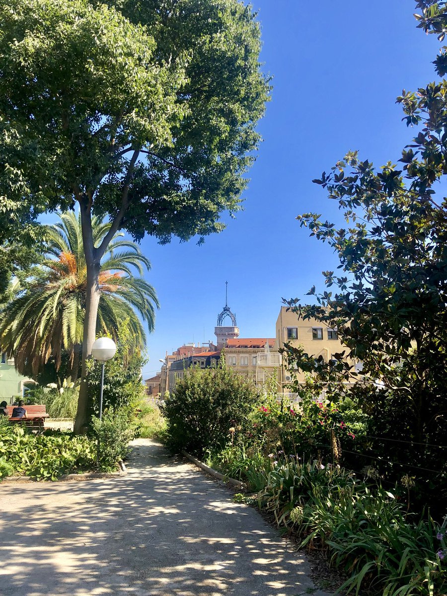 Eva Ferry tweet media