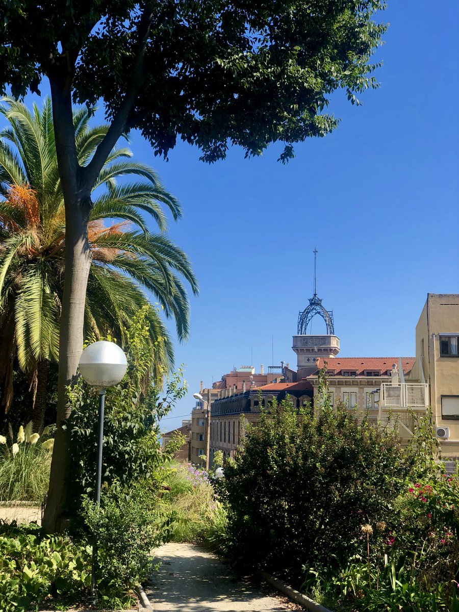 Eva Ferry tweet media