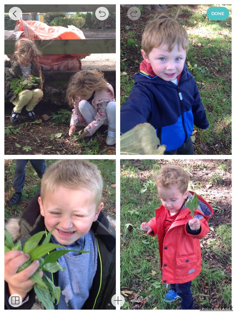 Griff_MrsLinton's tweet image. Outdoor fun.