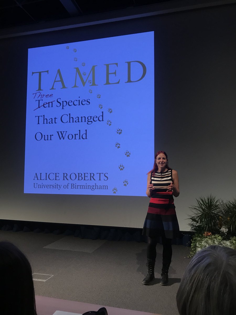 DrLMTurner's tweet photo. .@theAliceRoberts giving a great public lecture as final event of #milnerlaunch @MilnerCentre https://t.co/zRl5WTSpfh