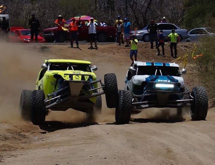 Coyote 300 tweet media