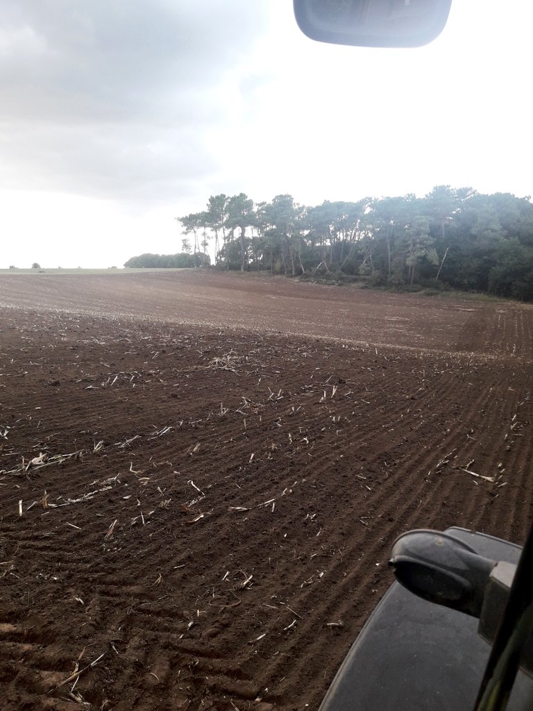 Dominique Luherne tweet media