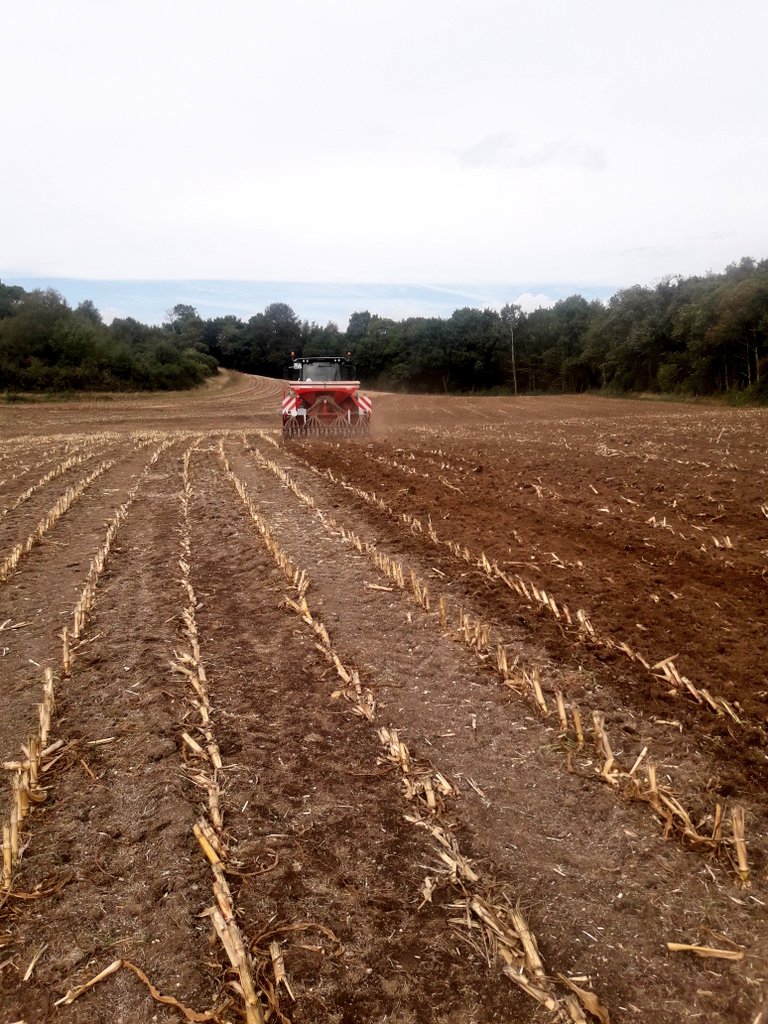 Dominique Luherne tweet media