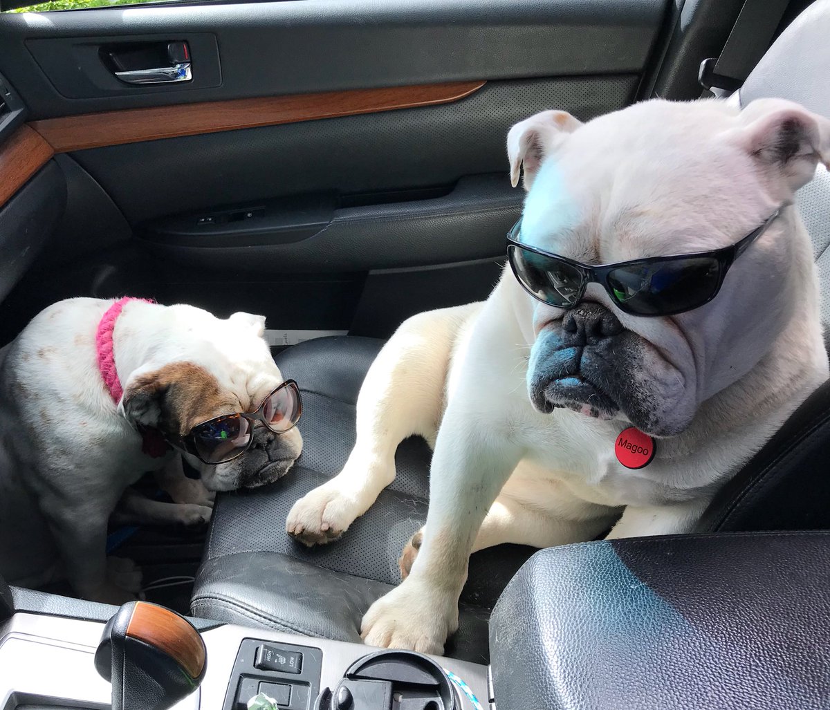 MagooCrew tweet picture