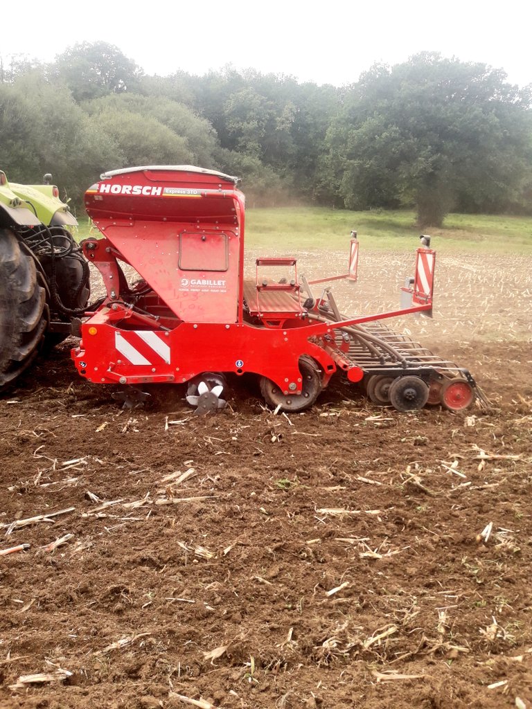 Dominique Luherne tweet media