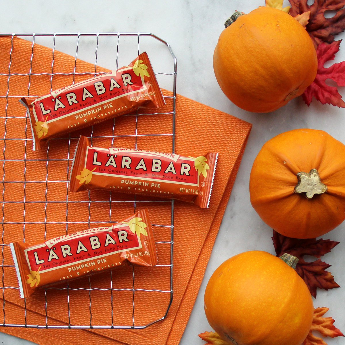 No added sugar, plenty of spice, and everything nice. 
Welcome back, Pumpkin Pie!