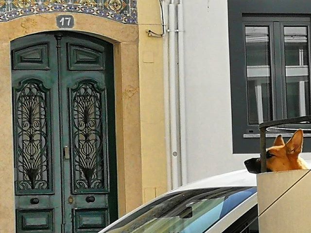 The Big Red Stop tweet media