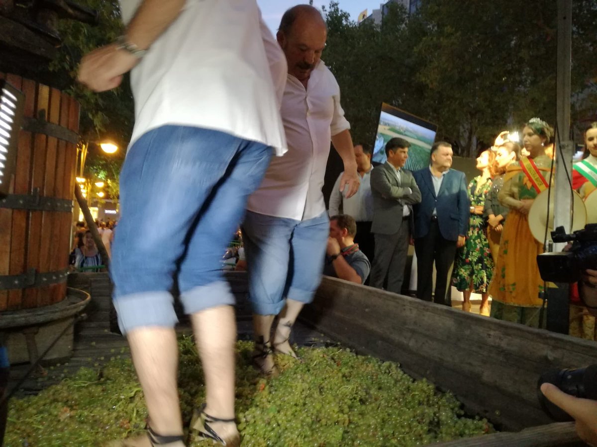 ¡Una noche por delante dedicada a nuestra cultura del vino 🍇#MontillaMoriles!: recreación de la pisa de uva (imágenes), degustaciones gastronómicas, cata dirigidas, exhibición de pasera, taller de venencia infantil y pisa de uva para niños, entre otras actividades. #Cordobaesp