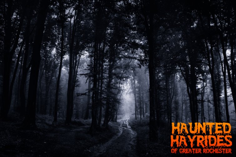 LiveinRocCity's tweet photo. Fall is almost here! 🍂 The season is here for the Haunted Hayrides of Greater Rochester. Take a look at the schedule starting on Friday, September 28th!
https://t.co/2JU7vSWSfg https://t.co/hj3p6QG9Gb