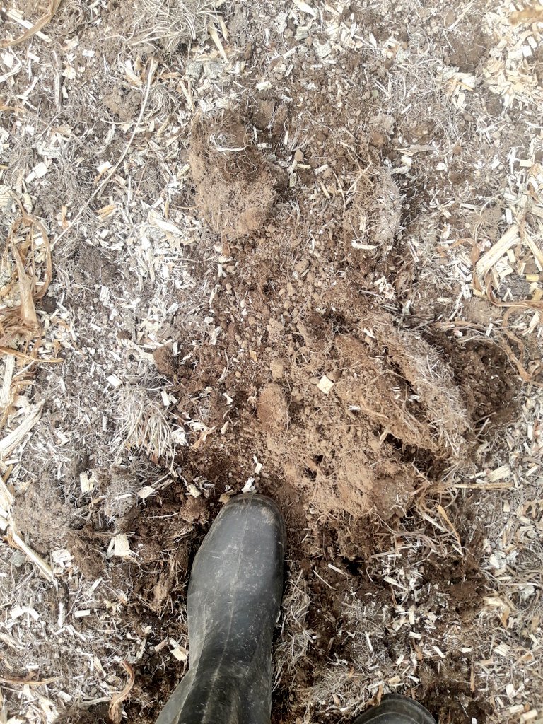 Dominique Luherne tweet media