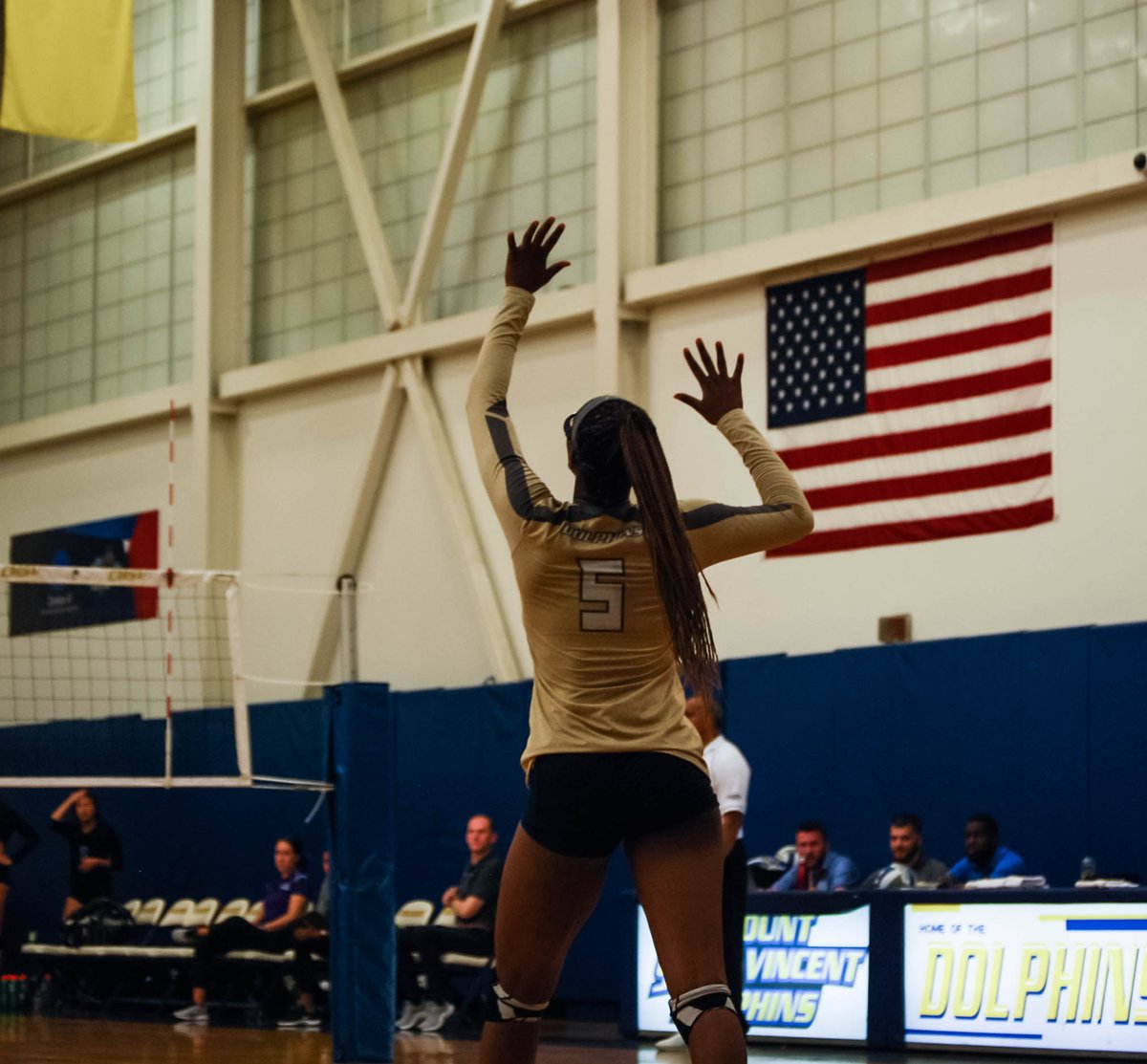 Alex Rio (@Alexrio_) | Twitter