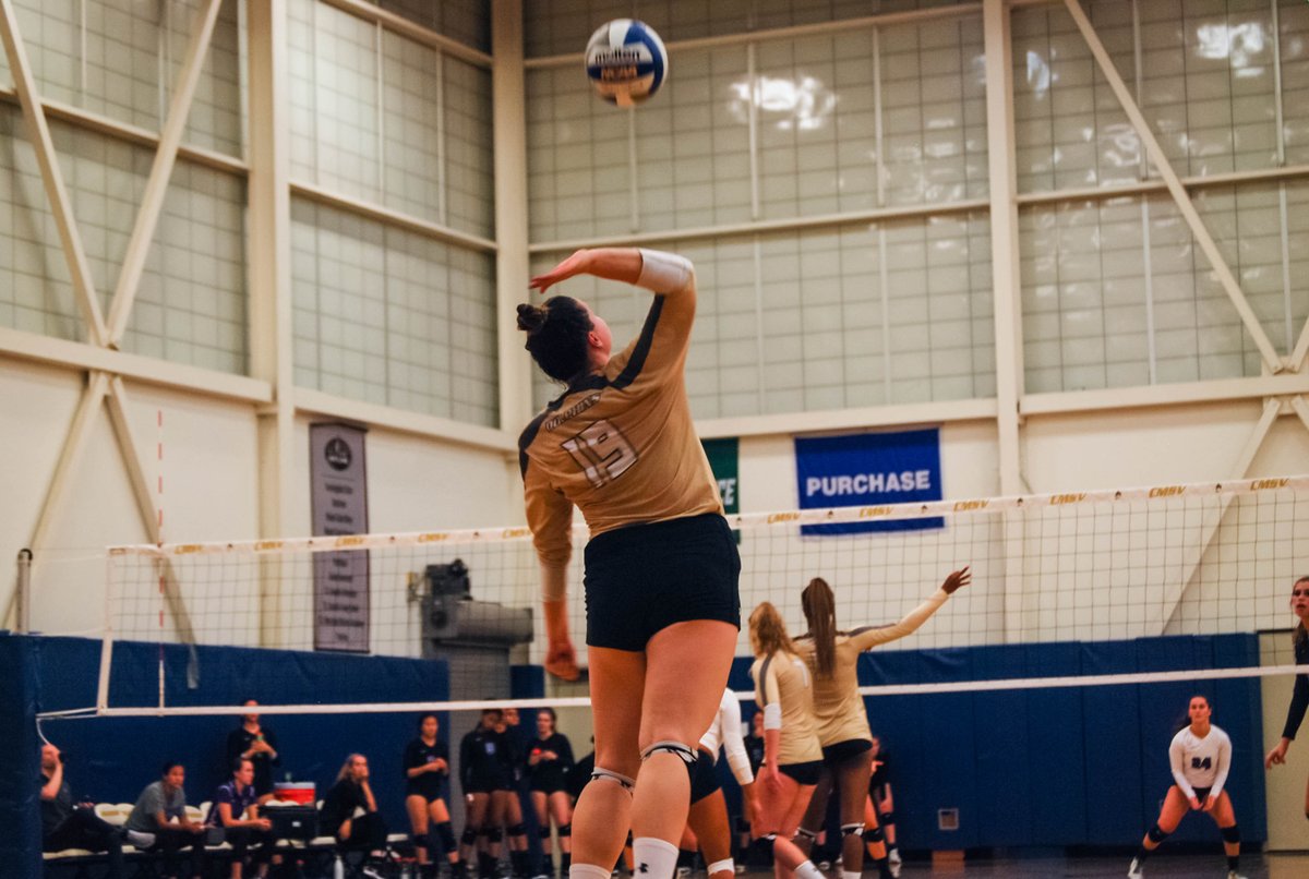 Alex Rio (@Alexrio_) | Twitter