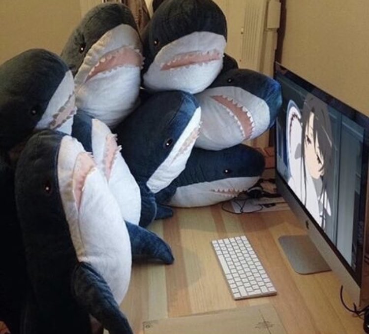 [雨] ‎ѕσυѕєтѕυ (@umbrellabishie) on Twitter photo 