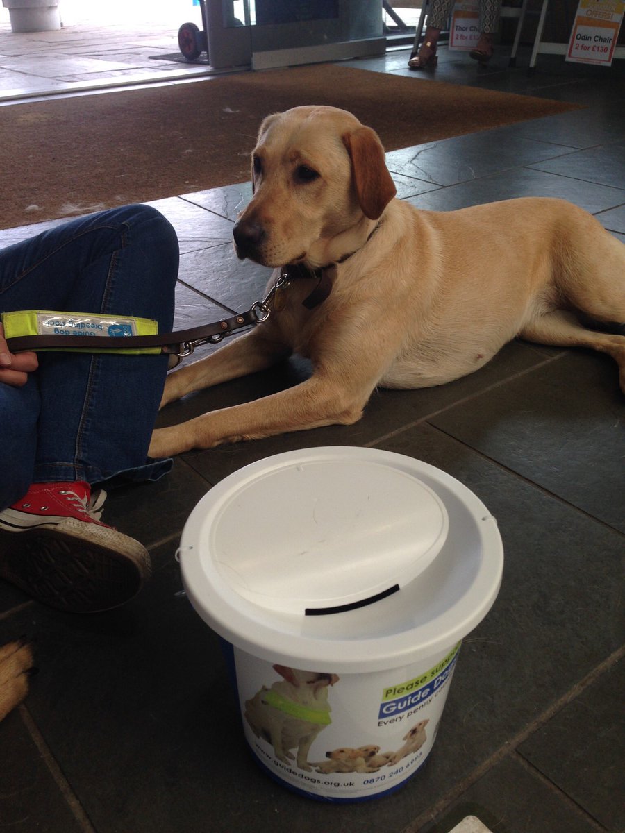 FundraisingDog's tweet photo. By volunteering for Shrewsbury Fundraising Group you'll be helping to make a huge difference to the lives of people who are blind and partially-sighted and we promise you'll have a lot of fun! If you’d like to join us contact Penny on penny-norris@sky.com https://t.co/f5vCbmDt2T
