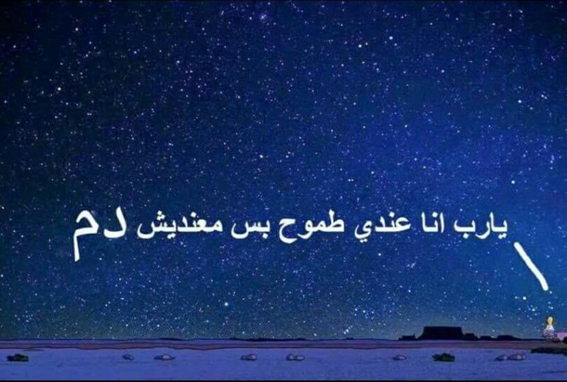 Omar. (@omar_zekrallah) on Twitter photo 