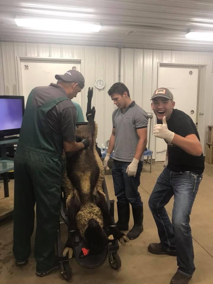 Purdue Animal Sciences tweet media
