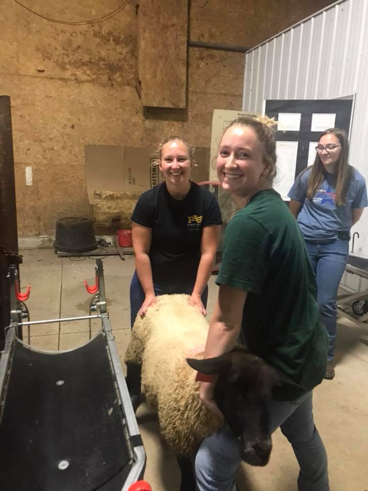 Purdue Animal Sciences tweet media