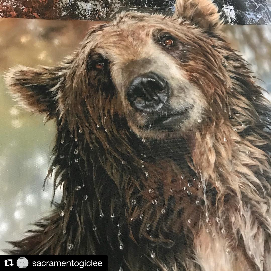 FredrixPrint's tweet photo. hake off that work week sweat! 😉 Our USA-made canvas provides the ultimate printable canvas surface. #Repost Sacramento Giclee Printing
・・・
Beautiful print on #fredrixprintcanvas for Val Warner the Artist #prints #canvasprints #art #artist #USAmade #artprint https://t.co/F0PFUmHXnA