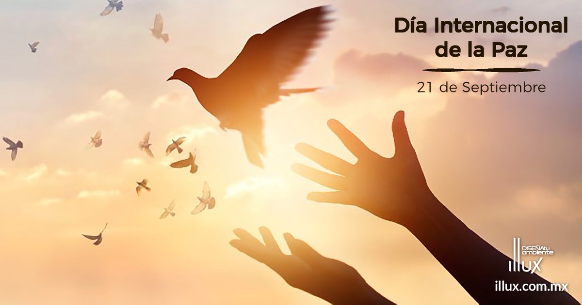 IlluxMX's tweet photo. 🕊️ ¡Celebremos juntos el Día Internacional de la paz!

#DíaInternacionalDeLaPaz #21deSeptiembre #Peaceday #illuxdeMexico #BuenViernes #FinDeSemana 

Diseña tu ambiente con Illux  👉 https://t.co/AEvKjKdpKt https://t.co/XMMs8hsjEz